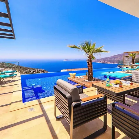Tigra Kalkan