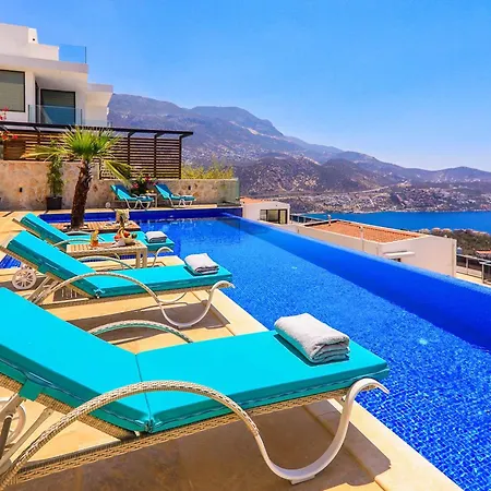 Tigra Kalkan