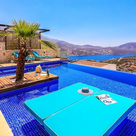 Tigra * Kalkan
