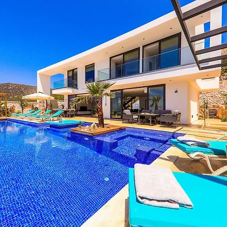 Tigra Kalkan
